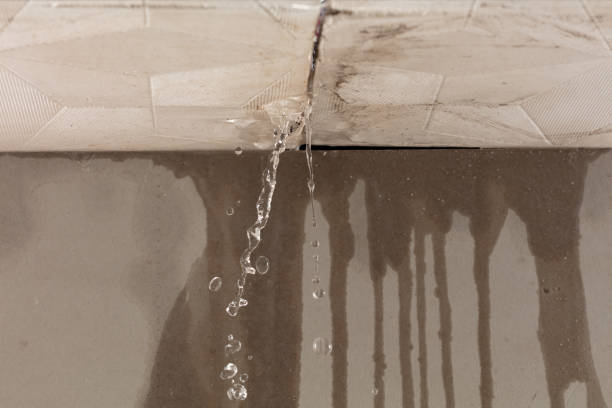 Professional Burst Pipe Cleanup technician working in Dearborn, MI